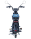 ЭлектровелосипедMaxxter E1000 (Blue) Maxxter E1000 (Gray) фото 2