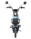 ЭлектровелосипедMaxxter E1000 (Blue) Maxxter E1000 (Gray) фото 4