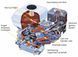 Бензиновые двигатели Honda GX 160 000004633 фото 2