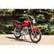 Мотоцикл SKYMOTO BIRD new 150 Red 1130048623 фото 8