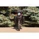 Мопед SkyMoto Worker 110 Red 794659079 фото 2