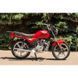 Мотоцикл SKYMOTO BIRD new 150 Red 1130048623 фото 7