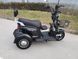 Триколісний електроскутер FORTE S1 (білий) 090113566 фото 2