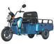 Электроскутер Maxxter CARRIER 1000 Вт синий Maxxter CARRIER фото 1