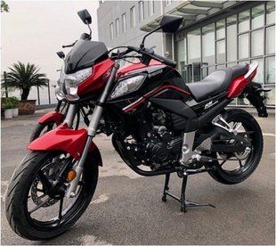 Мотоцикл Forte FT250-СКА 84174 фото