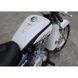 Мотоцикл SKYMOTO Eagle 250 1015427664 фото 2