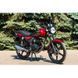 Мотоцикл Skymoto Bird X4 150 Red 792508451 фото 2