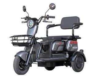 Електроскутер триколісний Maxxter ANT LI (Gray) 1000 Вт Maxxter ANT фото
