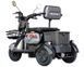 Електроскутер триколісний Maxxter ANT LI (Gray) 1000 Вт Maxxter ANT фото 6